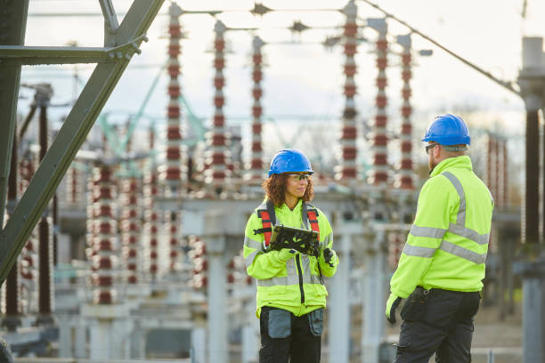 Best Generator Installation Services  in La Plata, MO