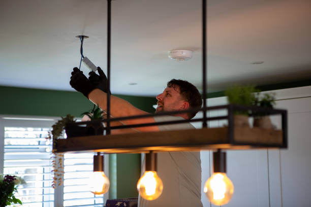 Best Electric Panel Repair  in La Plata, MO